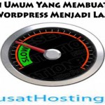 3 Alasan Umum Yang Membuat Kecepatan WordPress Menjadi Lambat